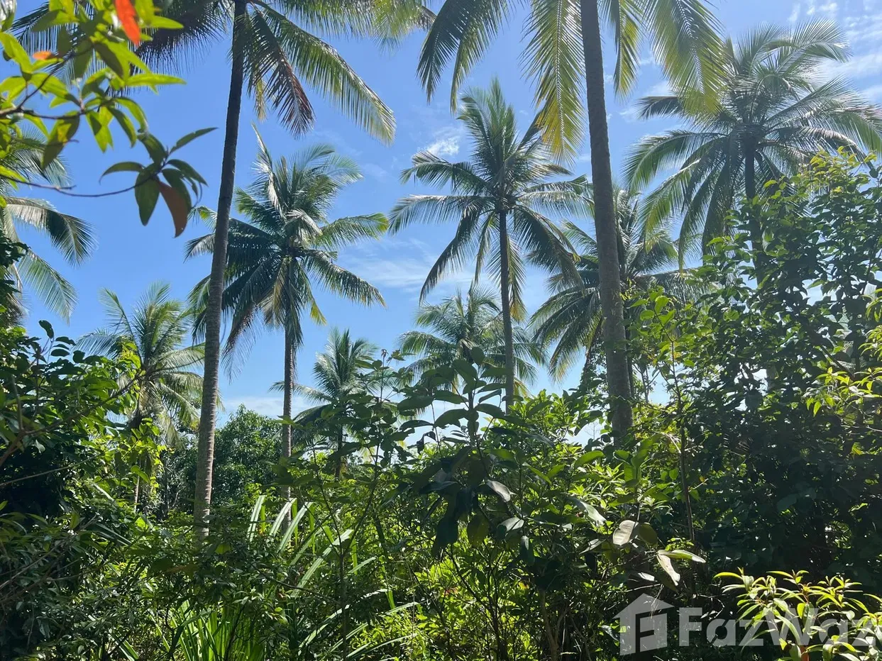 picture Land for sale in Bo Phut, Surat Thani - 2/12