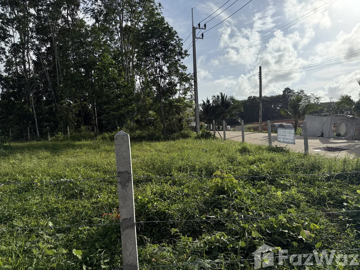 picture Land for sale in Si Sunthon, Phuket - 5/14