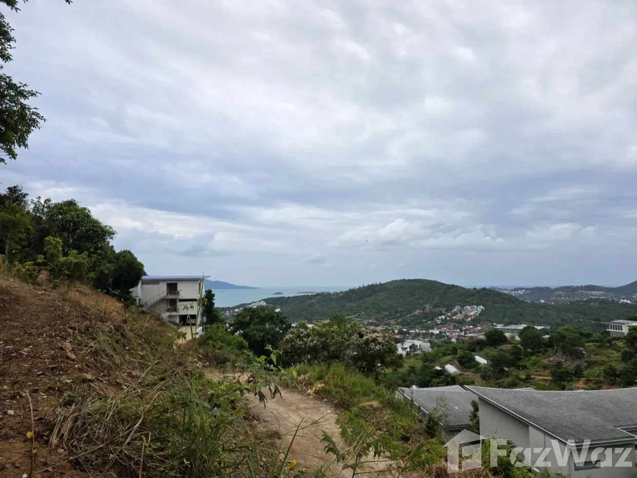 รูป ขาย ที่ดิน ใน บ่อผุด, สุราษฎร์ธานี - รูปที่ 3/5