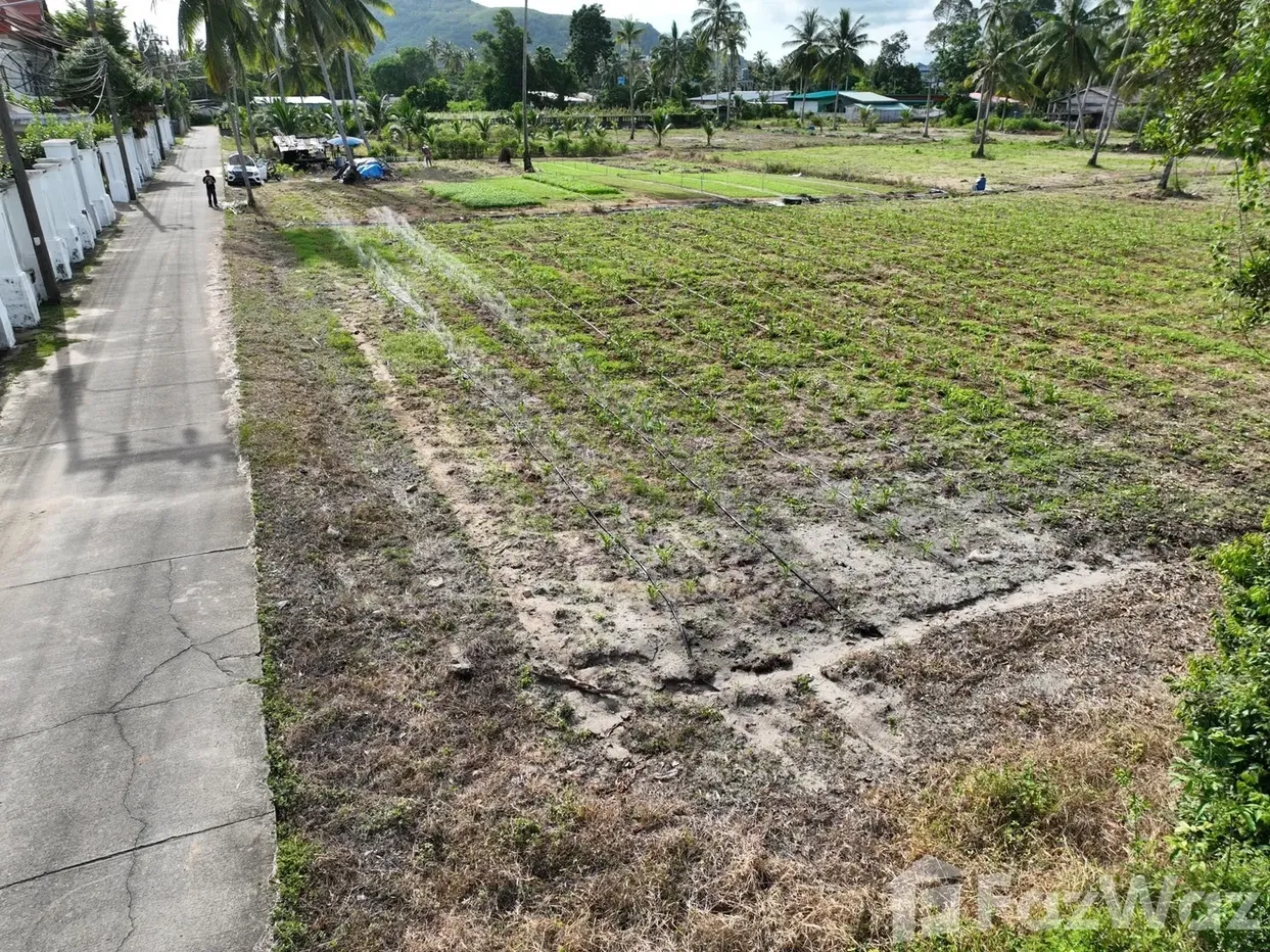 picture Land for sale in Mai Khao, Phuket - 13/16