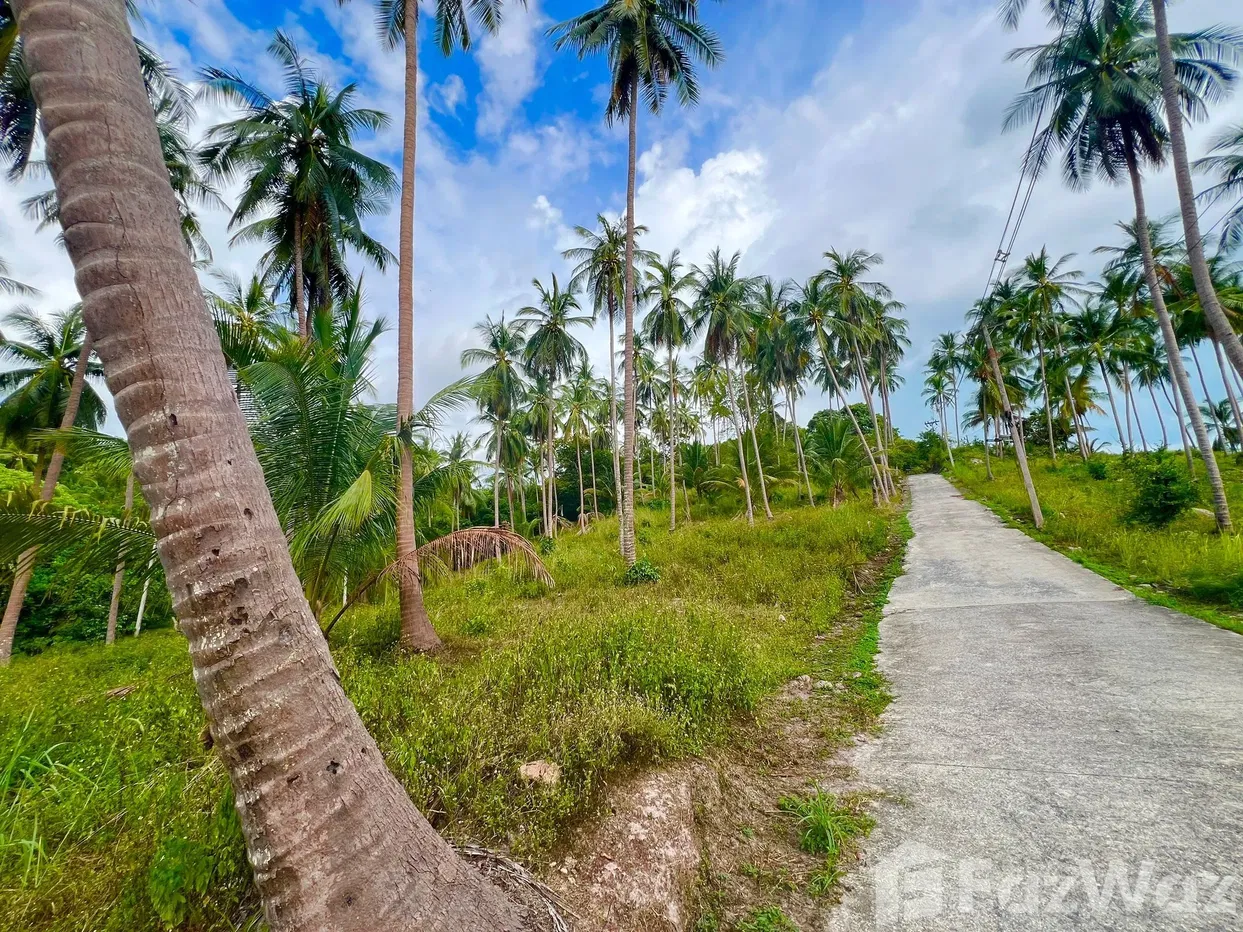 picture Land for sale in Taling Ngam, Surat Thani - 7/18