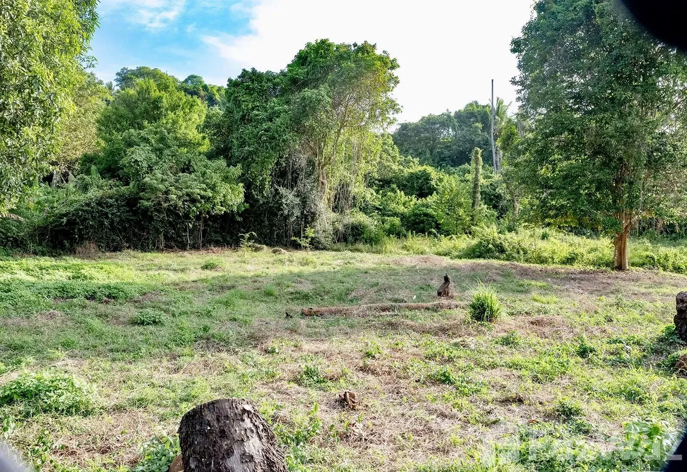 picture Land for sale in Taling Ngam, Surat Thani - 12/15
