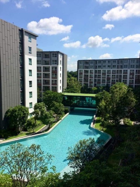picture Dcondo Ping condo 2beds for rent Near Central Chiang Mai Tel.  082-3899314 (Boo) - 15/17