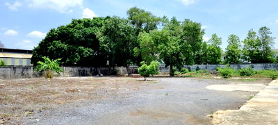 เช่าที่ดิน วิทยาลัยเทคนิคดอนเมือง : ให้เช่าที่ดิน600ตรวใก้ลสนามบินดอนเมือง