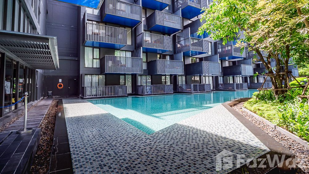 picture Studio Condo for rent at The Deck Patong 1104264 - 5/5