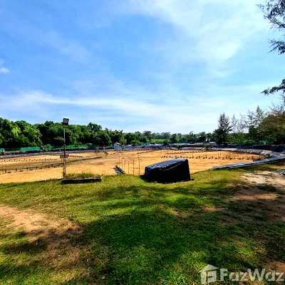 Land for sale Thalang Phuket : Land for sale in Mai Khao, Phuket