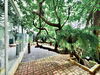 listing thumbnail image 14