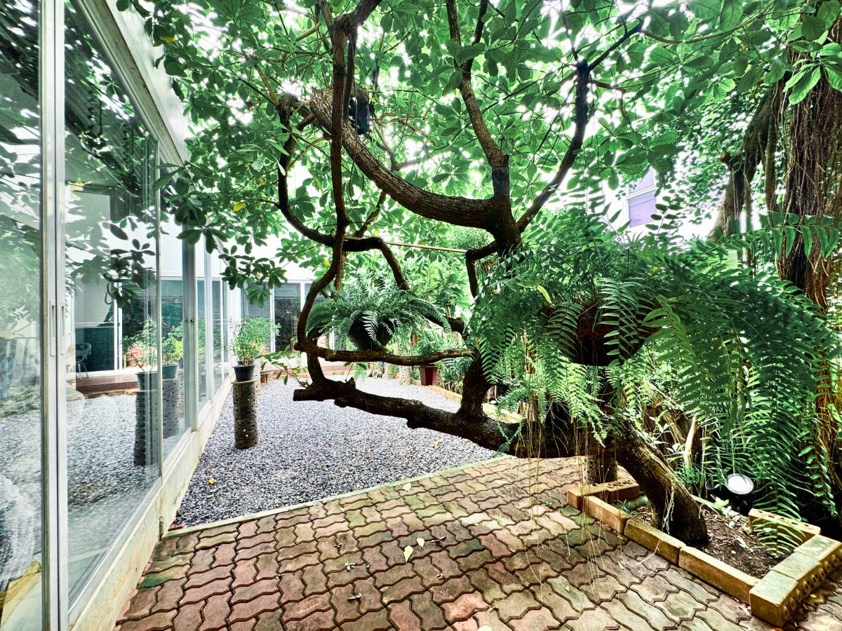รูป ขายบ้านเดี่ยว Courtyard Villa พระราม 9 – วงแหวน สภาพดีเยี่ยม พร้อมเข้าอยู่ทันที - รูปที่ 15/19