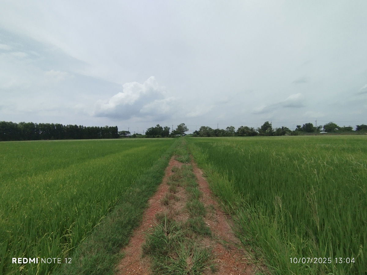 picture 🌊Premium riverside land in BangPakong, 30+rai, ONLY1plot, BangKhla, next to the main road+river, beautiful view, potential for various developments - 10/14