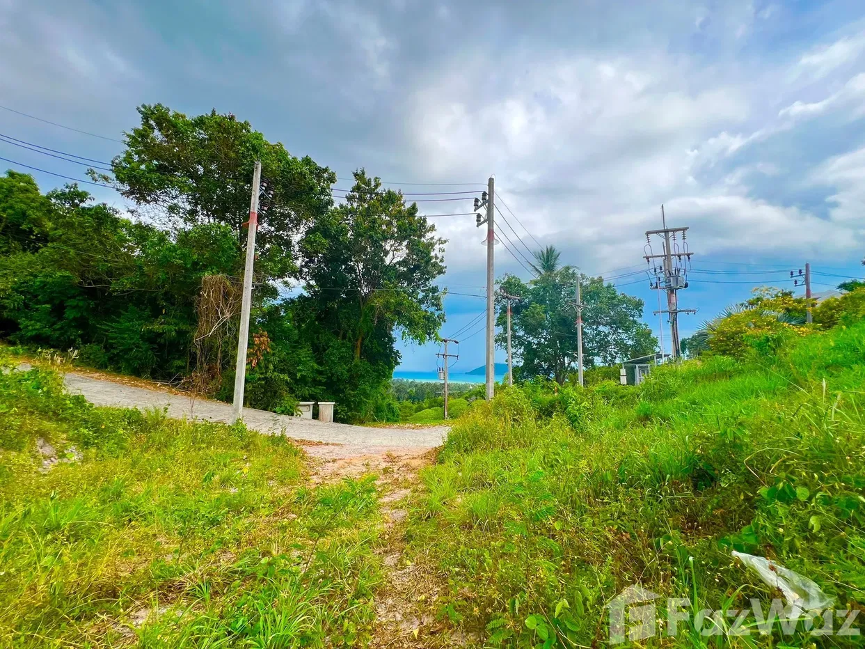 picture Land for sale in Taling Ngam, Surat Thani - 12/18
