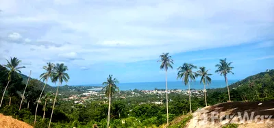 Land for sale Surat Thani : Land for sale in Maret, Surat Thani