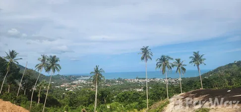 ขาย ที่ดิน ใน มะเร็ต, สุราษฎร์ธานี