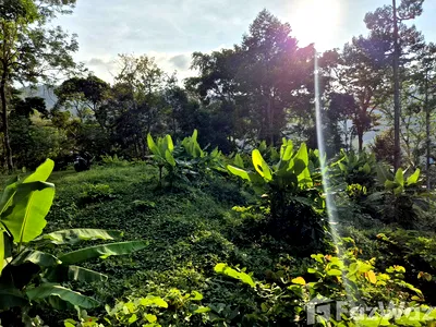 Land for sale Kamala : Land for sale in Kamala, Phuket