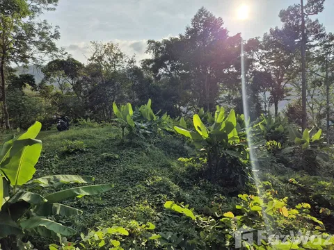 Land for sale in Kamala, Phuket