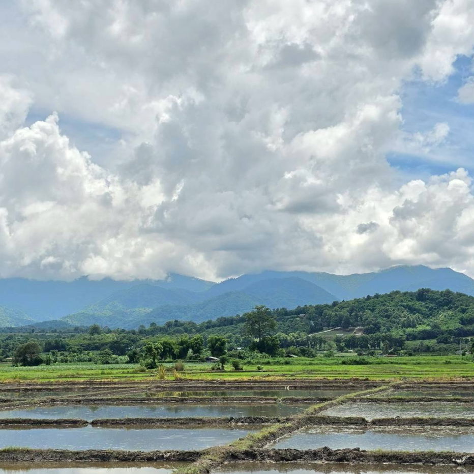 picture 🌿 Beautiful Mountain View Land for Sale in Fang, Chiang Mai 🍃 Perfect for a country home, vacation house, or a stylish café in nature 🌳 - 4/11