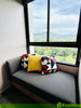 listing thumbnail image 13