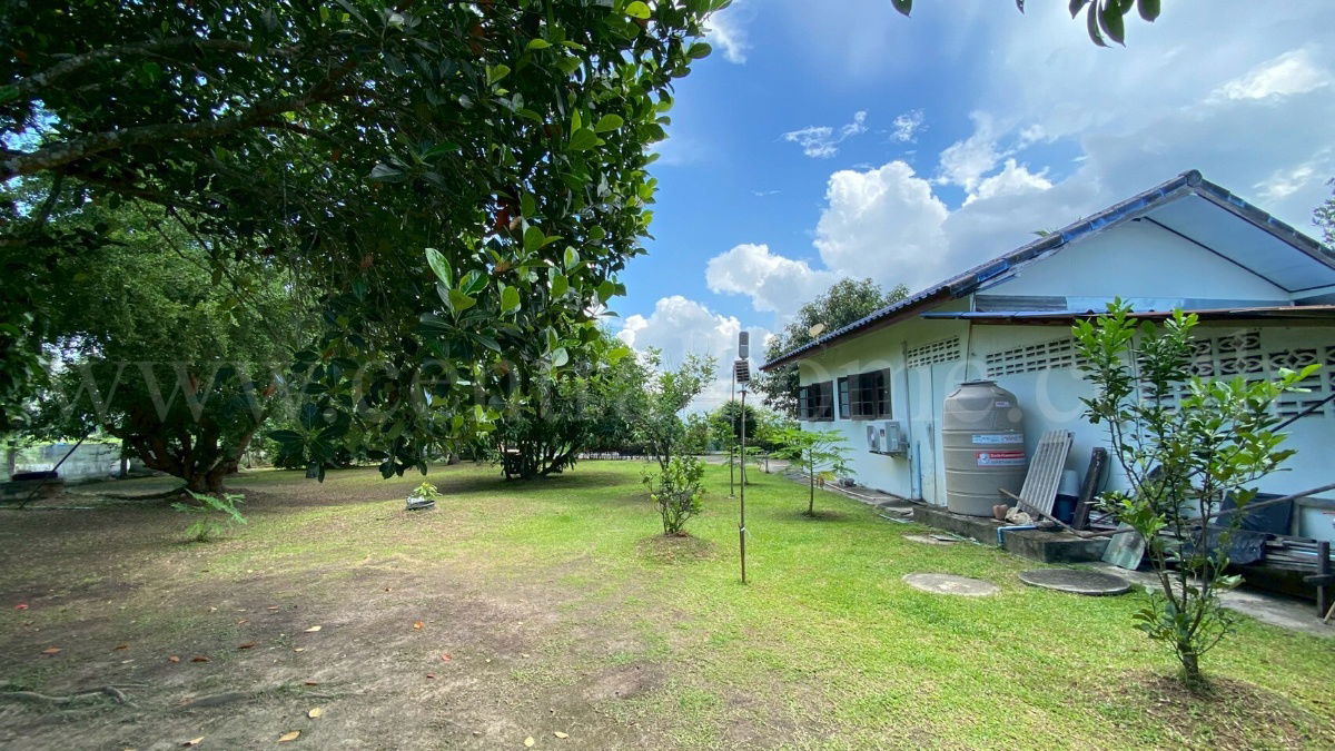 รูป บ้านเดี่ยว ชั้นเดียว พร้อมที่ดิน 2-3-97 ไร่ วังกระโจม - นครนายก - รูปที่ 14/16