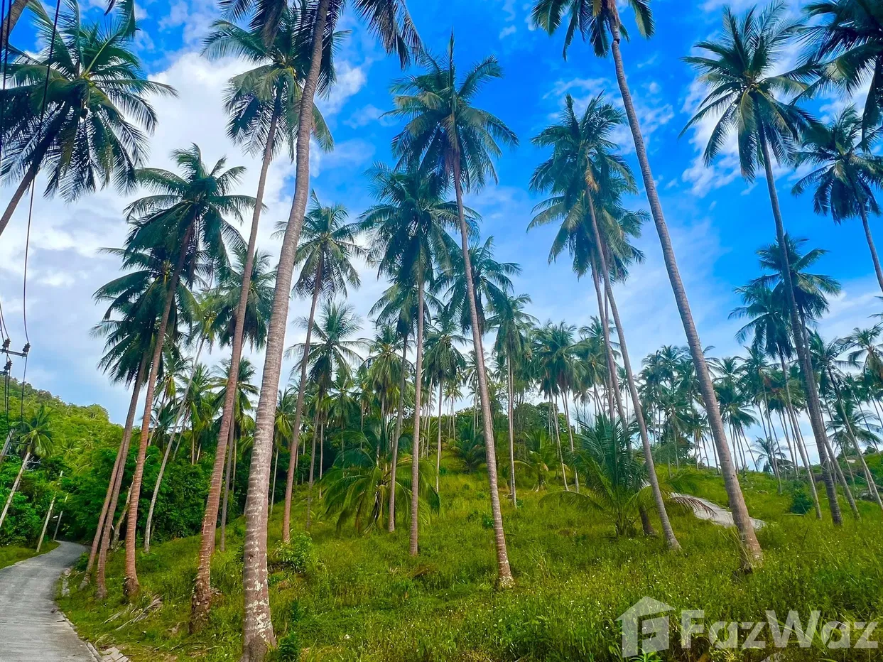 picture Land for sale in Taling Ngam, Surat Thani - 2/18