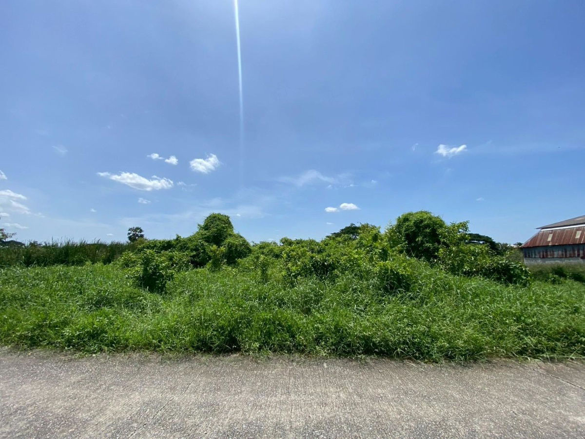 รูป ขายด่วน ที่ดินเปล่า 200 ตร.ว. หมู่บ้านปิ่นทองแลนด์ แฟคทอรี่ อ.บางบัวทอง จ.นนทบุรี ราคาดี - รูปที่ 2/8
