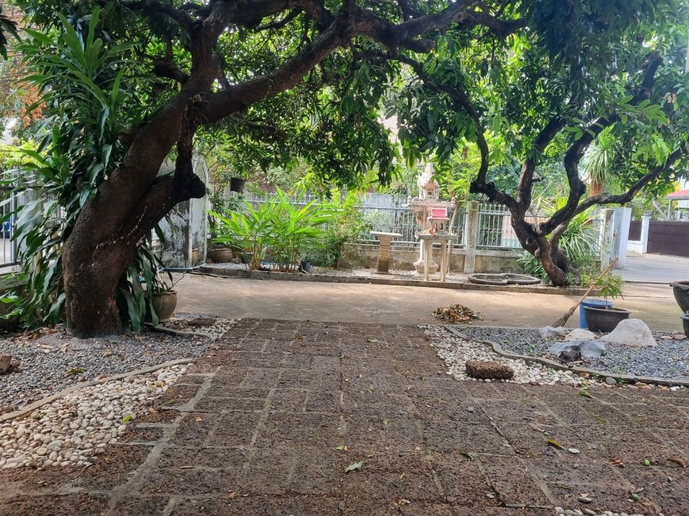 รูป ขายบ้านเดี่ยวหลังมุม 2 ชั้น ขนาด 111 ตรว. ติดถนนพหลโยธิน ขายตามสภาพ แขวงอนุสาวรีย์ กรุงเทพฯ - รูปที่ 8/8