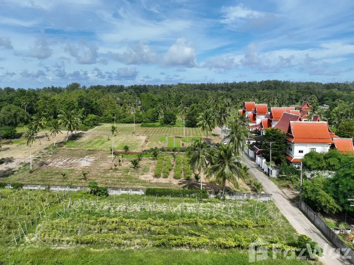 picture Land for sale in Mai Khao, Phuket - 15/16