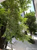 listing thumbnail image 8