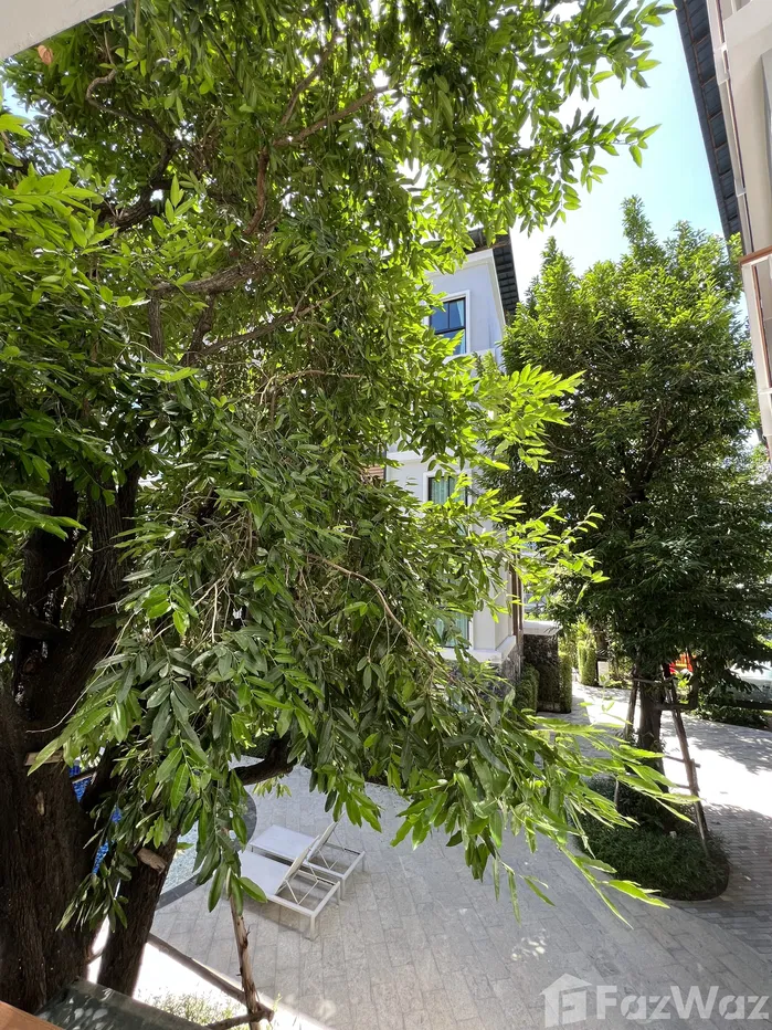 picture The 1-bedroom apartment with pool view is on the 2nd floor - 9/10
