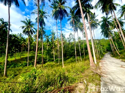 Land for sale Ko Samui Surat Thani : Land for sale in Taling Ngam, Surat Thani