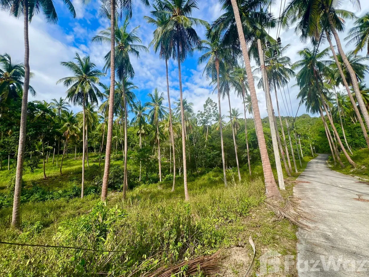 picture Land for sale in Taling Ngam, Surat Thani - 1/6