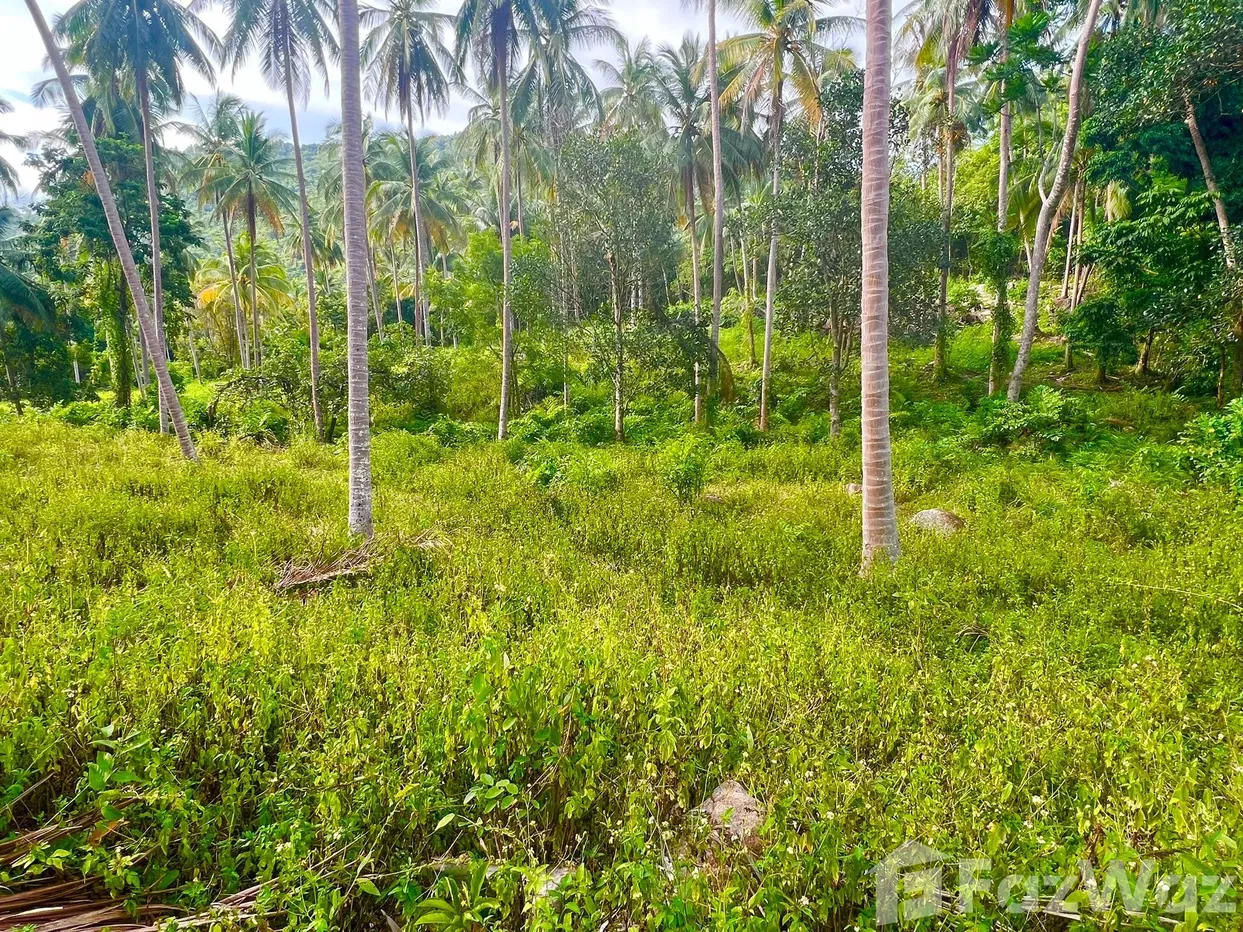 picture Land for sale in Taling Ngam, Surat Thani - 6/6