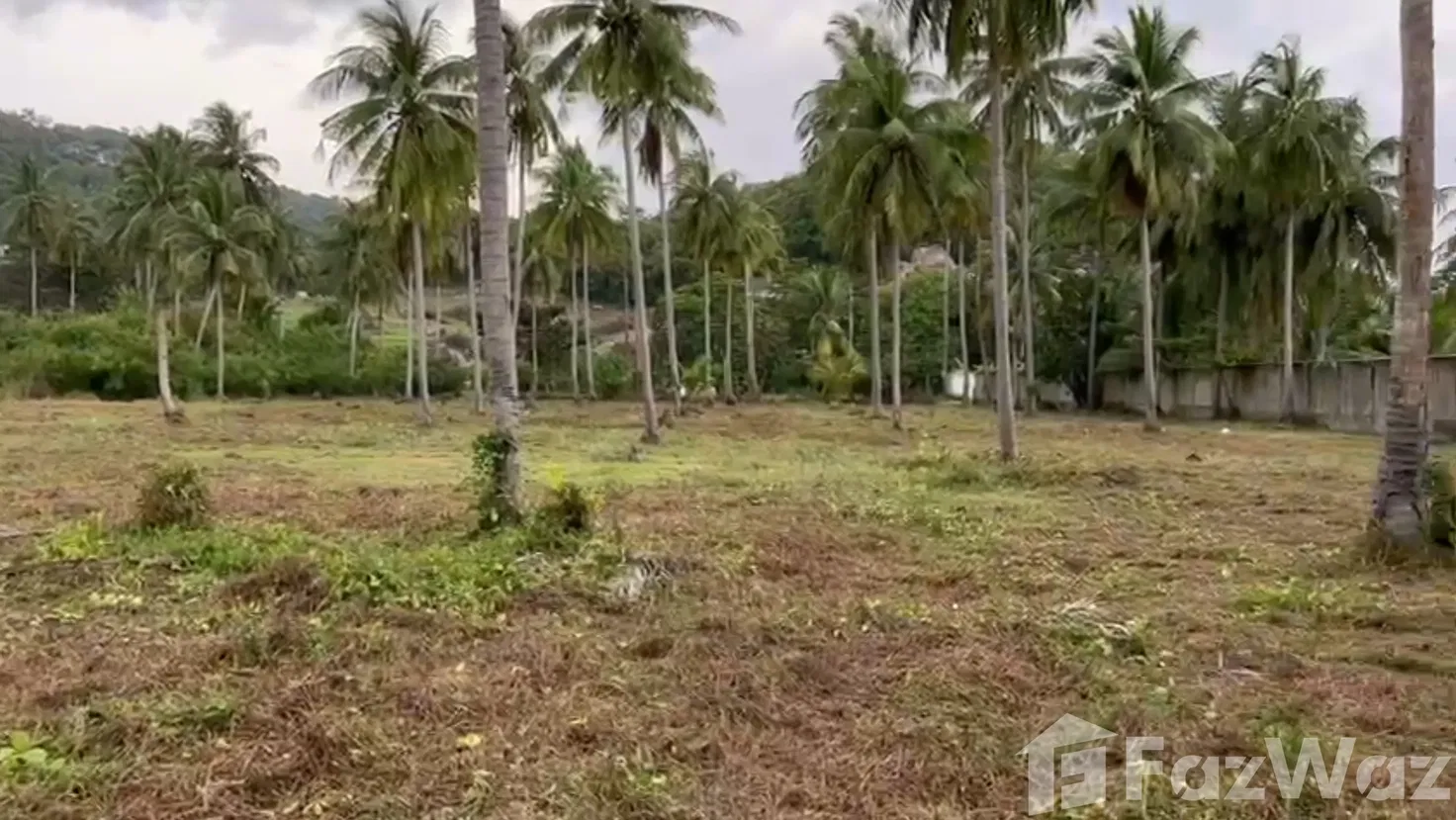 picture Land for sale in Maret, Surat Thani - 5/6