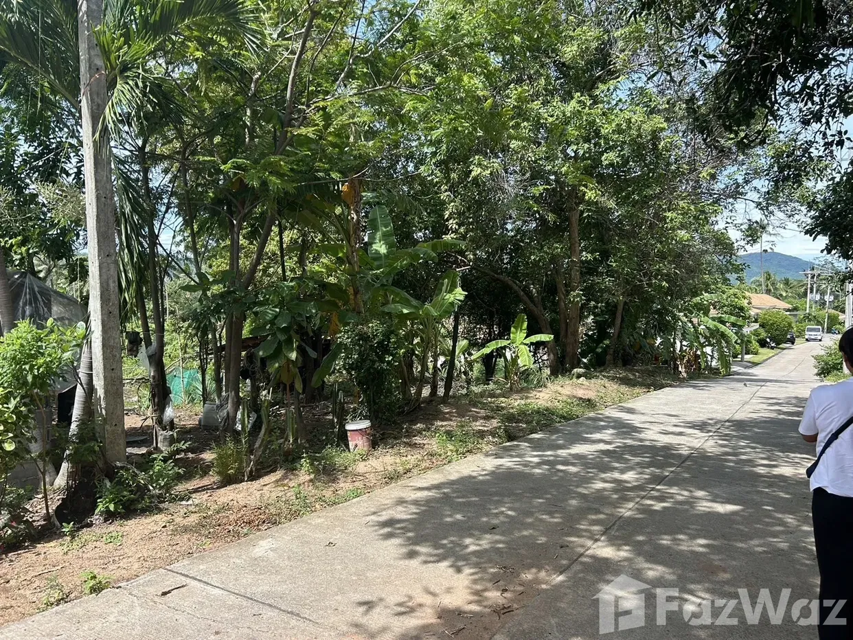 รูป ขาย ที่ดิน ใน มะเร็ต, สุราษฎร์ธานี - รูปที่ 2/6