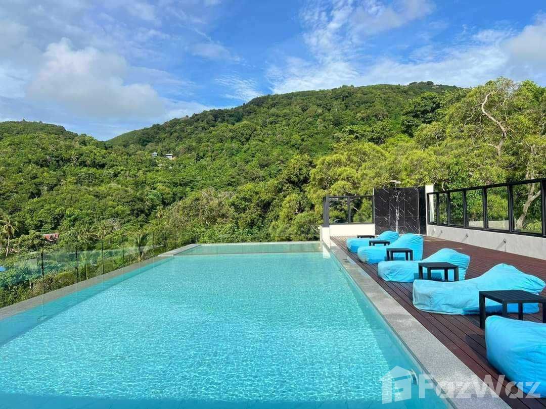 picture Utopia Karon ready for sale - 18/19