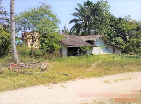 TN07771 ขายบ้านเดี่ยว อำเภอพระแสง สุราษฎร์ธานี