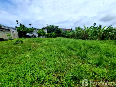 Land for sale Thalang Phuket : Land for sale in Choeng Thale, Phuket