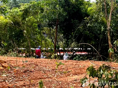 Land for sale Surat Thani : Land for sale in Bo Phut, Surat Thani