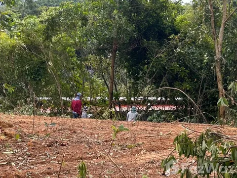 Land for sale in Bo Phut, Surat Thani
