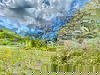 listing thumbnail image 1