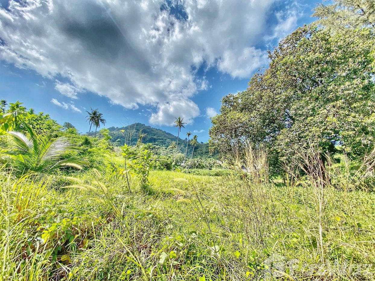รูป ขาย ที่ดิน ใน สาคู, ภูเก็ต - รูปที่ 2/6