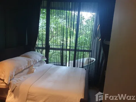 Infinite Comfort Awaits: Saturdays Residence, Phuket