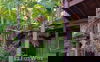 listing thumbnail image 17