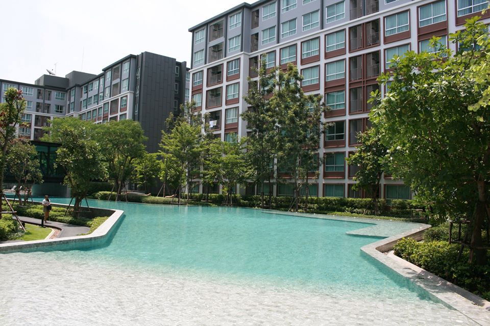 picture Dcondo Ping condo 2beds for rent Near Central Chiang Mai Tel.  082-3899314 (Boo) - 11/17