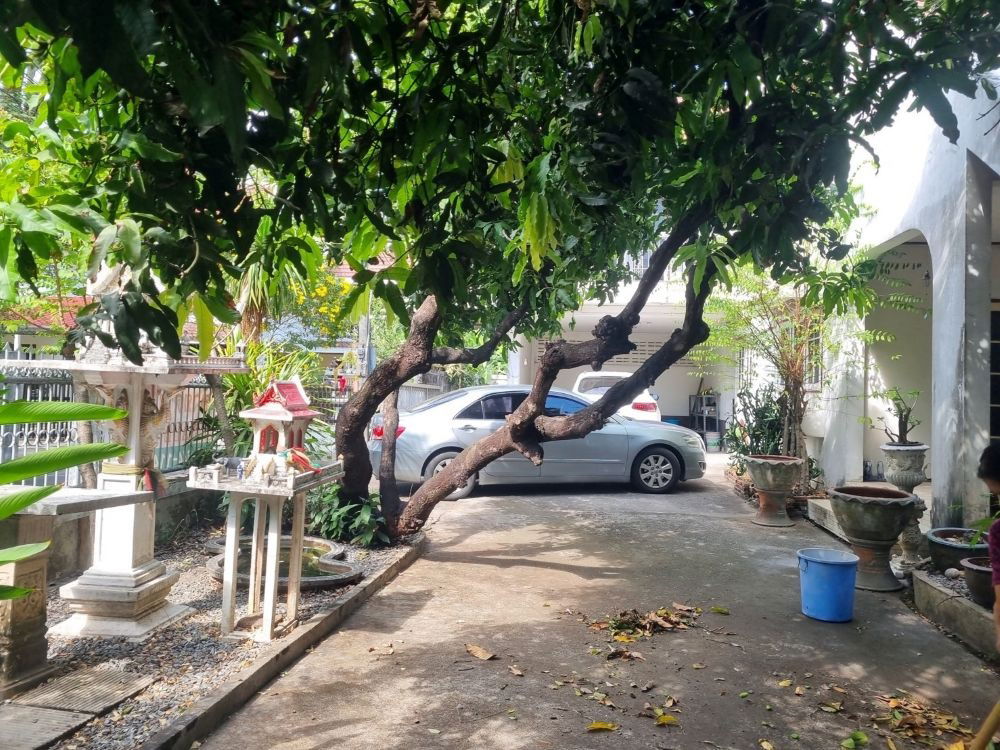 รูป ขายบ้านเดี่ยวหลังมุม 2 ชั้น ขนาด 111 ตรว. ติดถนนพหลโยธิน ขายตามสภาพ แขวงอนุสาวรีย์ กรุงเทพฯ - รูปที่ 7/8