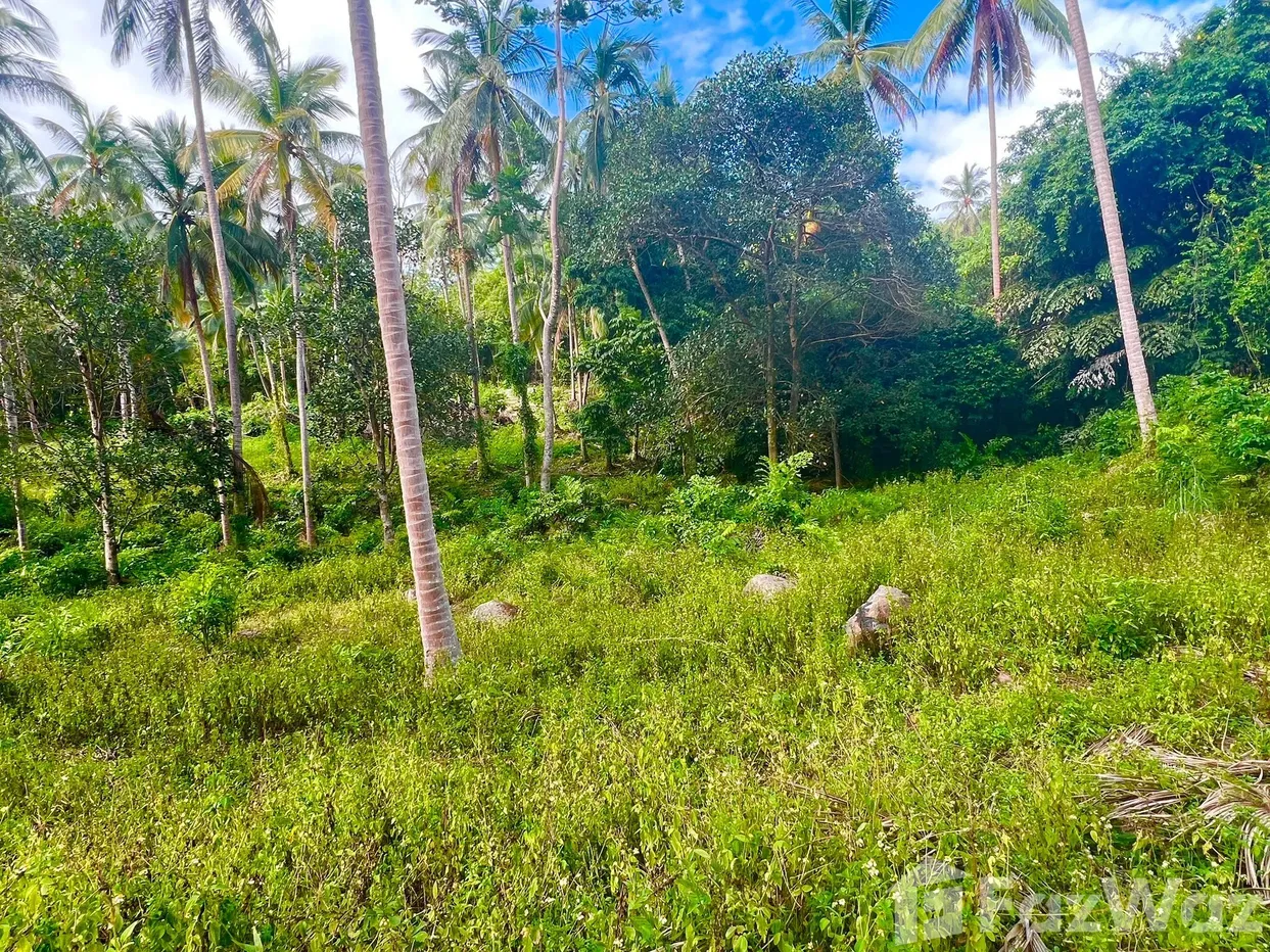 picture Land for sale in Taling Ngam, Surat Thani - 5/6