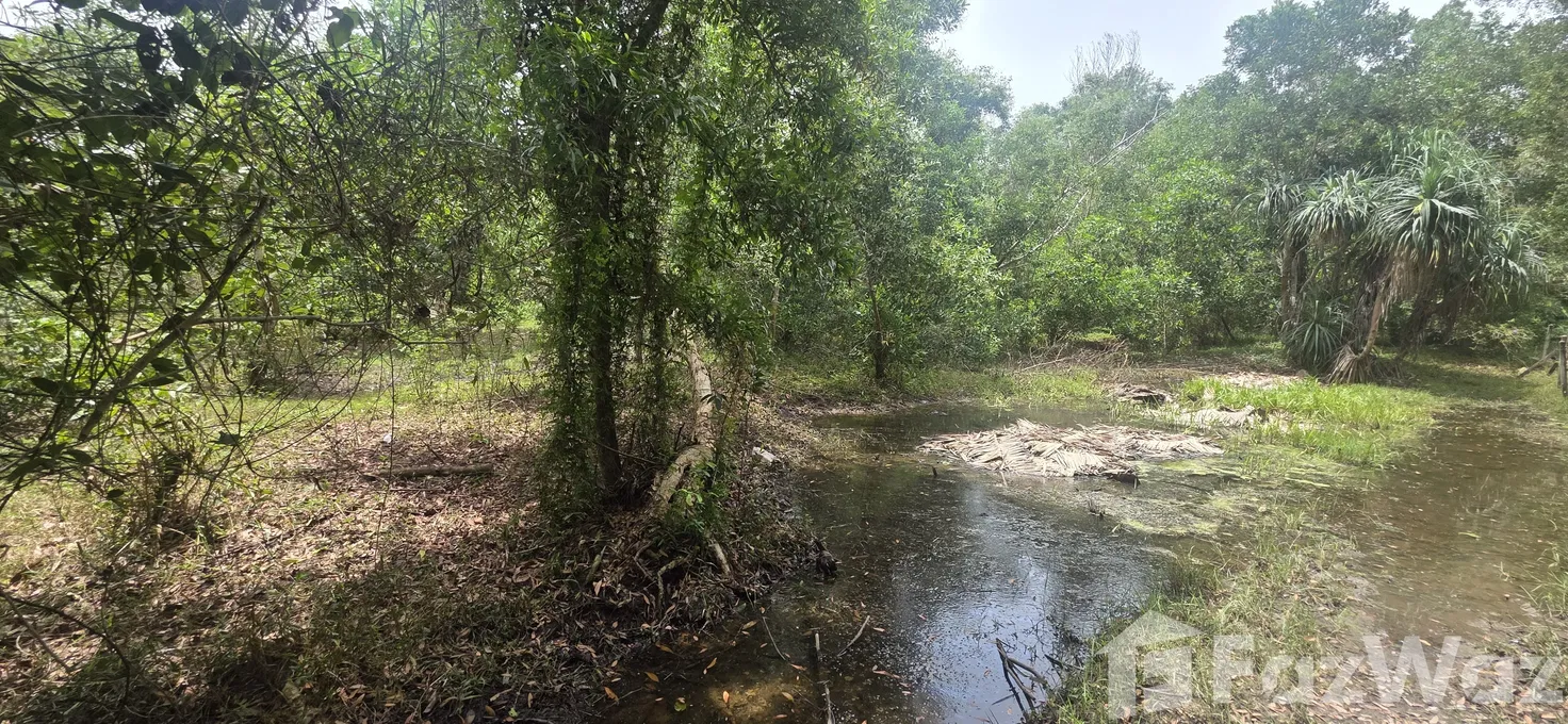 รูป ขาย ที่ดิน ใน ไม้ขาว, ภูเก็ต - รูปที่ 3/16