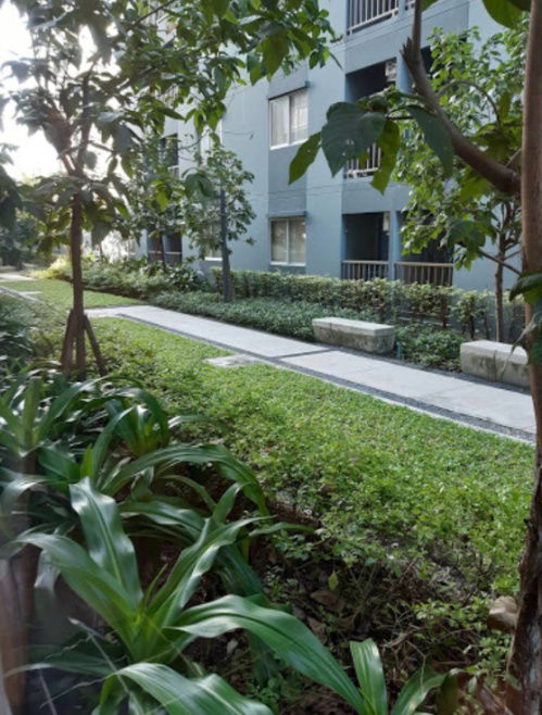 picture For Rent The Point Condo Rungsit-Klong6 - 14/17