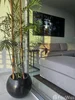 listing thumbnail image 16