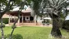 listing thumbnail image 44