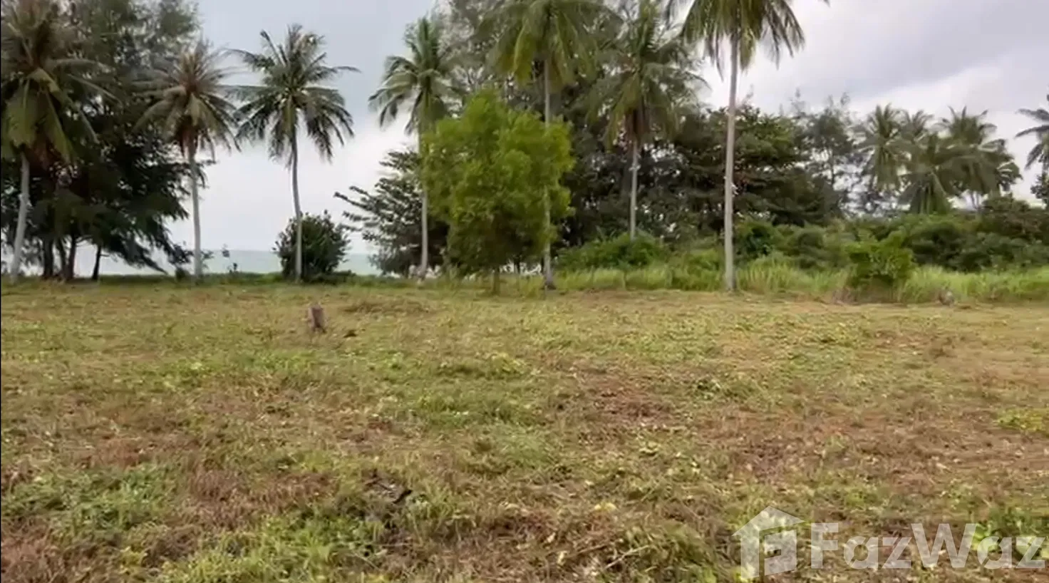 picture Land for sale in Maret, Surat Thani - 3/6