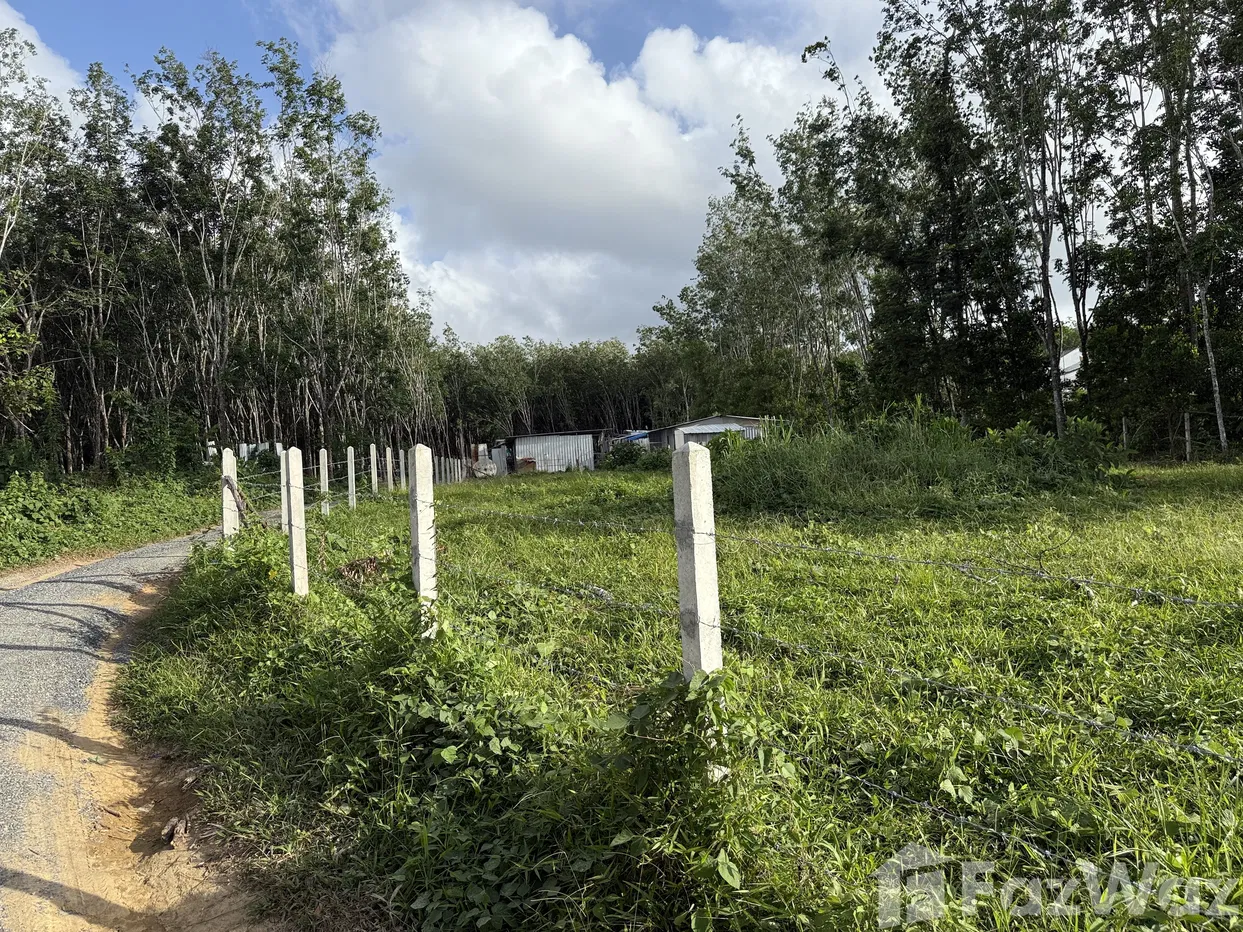 picture Land for sale in Si Sunthon, Phuket - 6/14